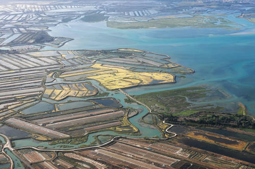 Île de Ré : un paradis préservé